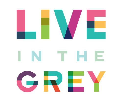 Live in the Grey, Natalia Petrzela, John Dewey, Natalia Mehlman Petrzela, intenSati, movement, historian, academia